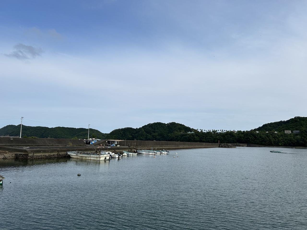 6-11アジ釣り