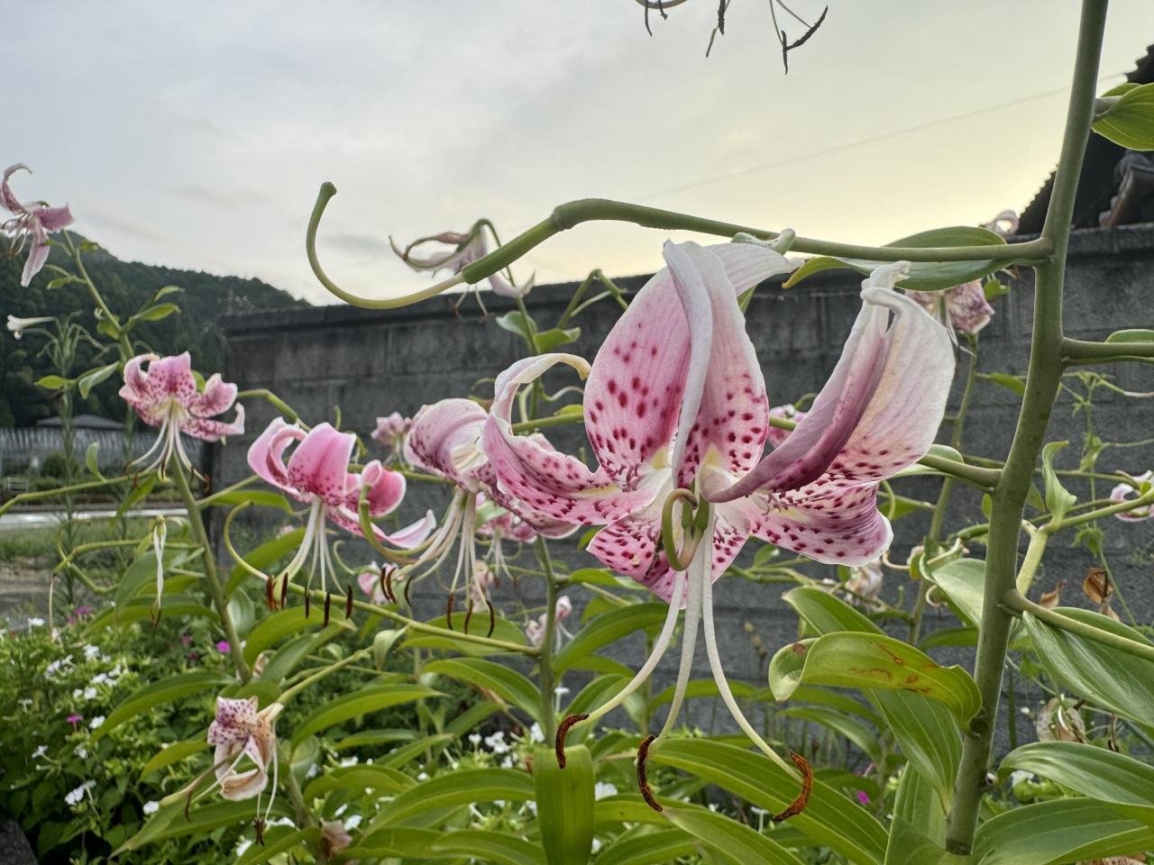 8-21神通の滝