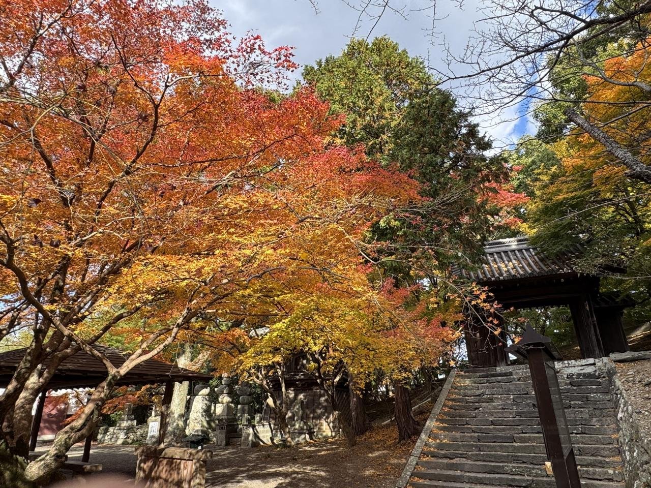 12-10丈六寺