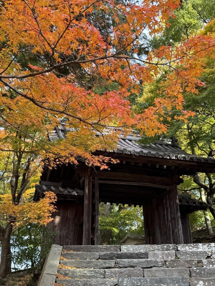 12-10丈六寺