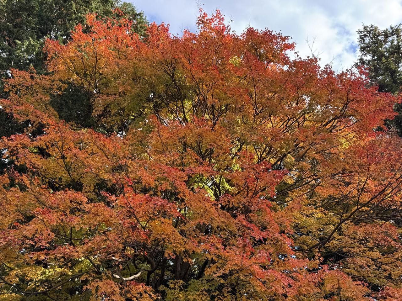 12-10丈六寺